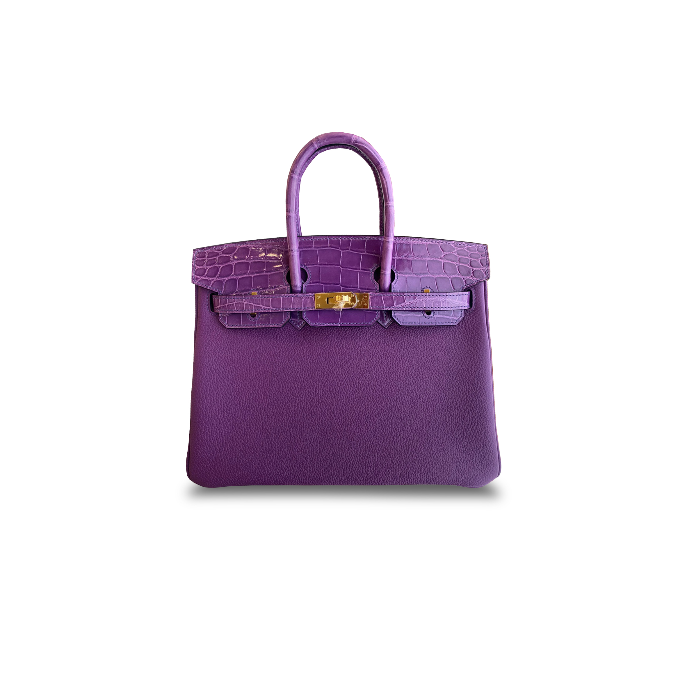 HERMÈS MASTER BIRKIN 25 CROCODILE AND TOGO LEATHER PURPLE GOLD BUCKLE H076216CK51 (25*20*13cm)